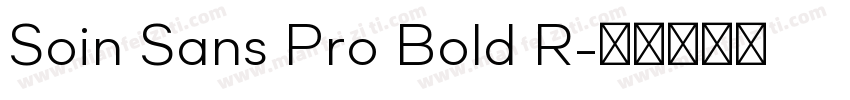 Soin Sans Pro Bold R字体转换